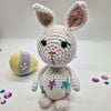 Hippety Hoppety - Amigurumi
1