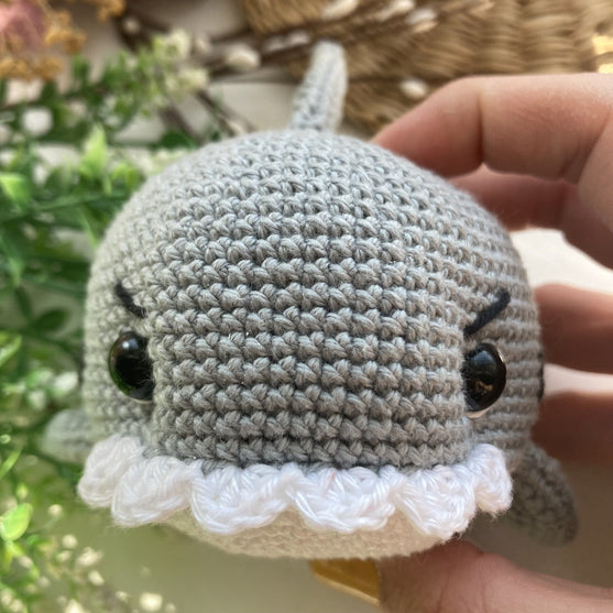 Tommy the little shark
3