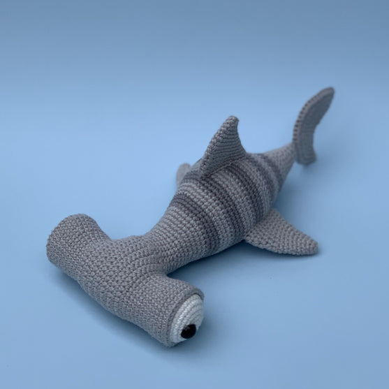 Hammerhead Shark
5