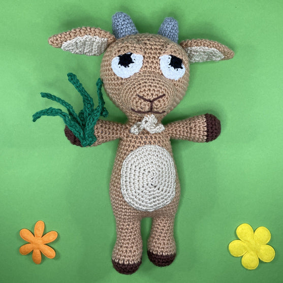 Capricornus - Zodiac Sign
2