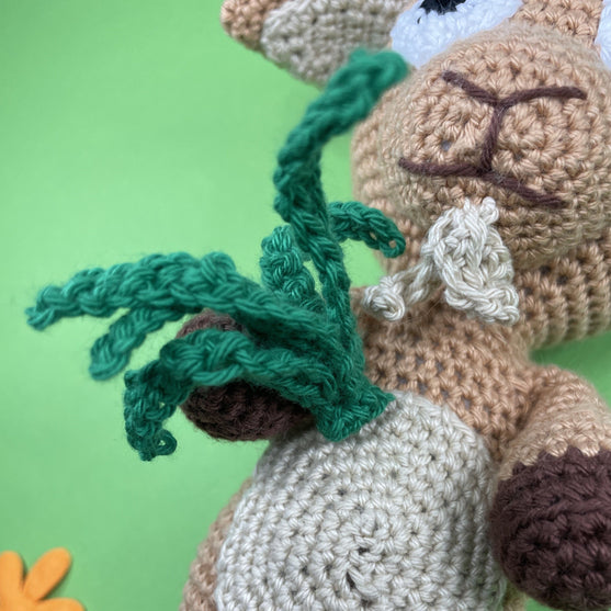 Capricornus - Zodiac Sign
6