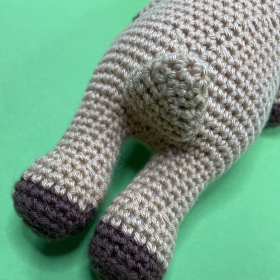 Capricornus - Zodiac Sign
8