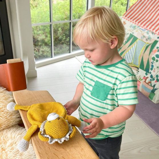 William the Lion - Baby comforter
3