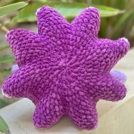 Wade the Umbrella Octopus
4