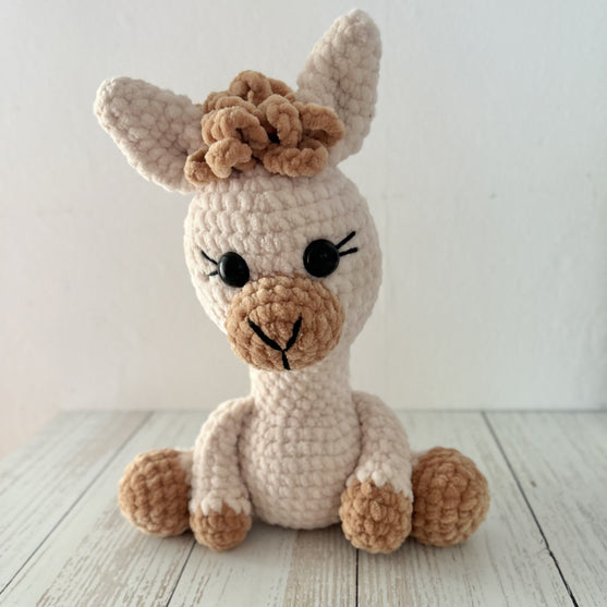 Alice the Alpaca
3