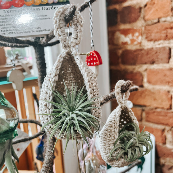 Spring in Bloom - Air Plant Cozy
3