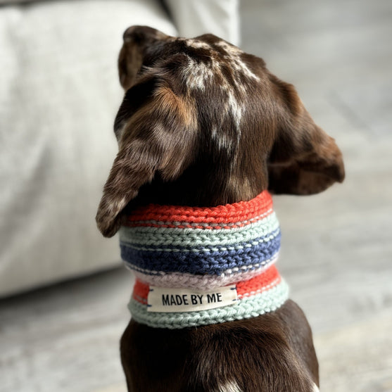 Wes - Dog Scarf
3