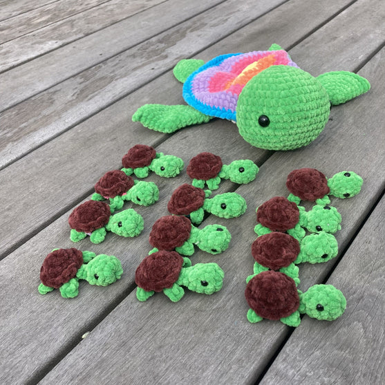 Rainbow Turtles - Memory Game
2