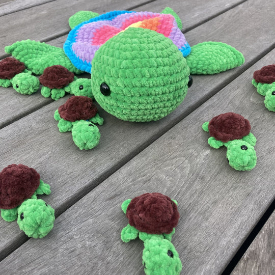 Rainbow Turtles - Memory Game
