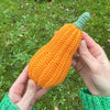 Decorative Pumpkins - Oblong
5