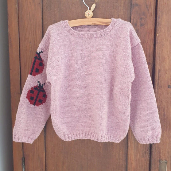 Ladybug - Children’s Sweater
2