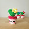 Lia The Tiny Heart Cactus
1