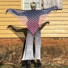 Blossamer - Shawl
3