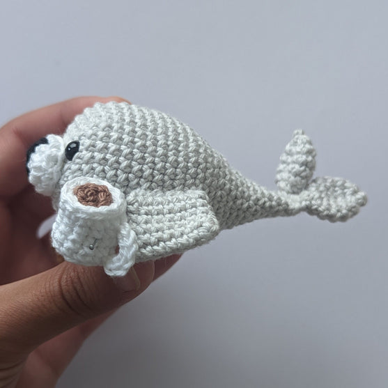 Charlie - The Cocoa Sipping Seal
2