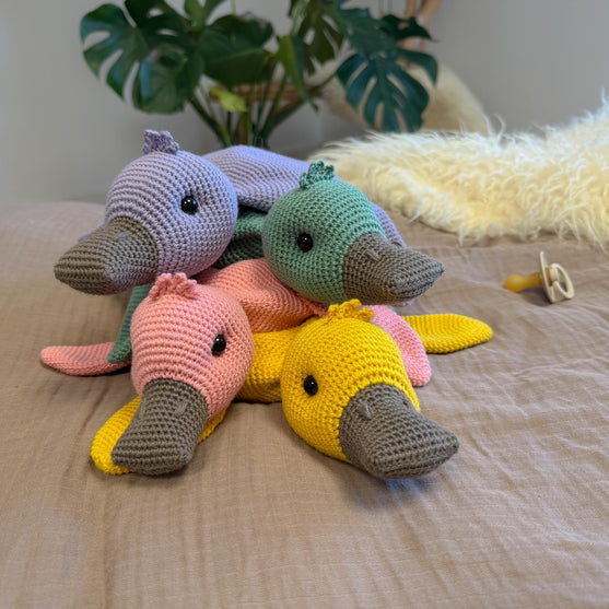The Warm Duck
3