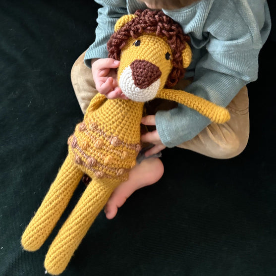 Louis the Lion
4