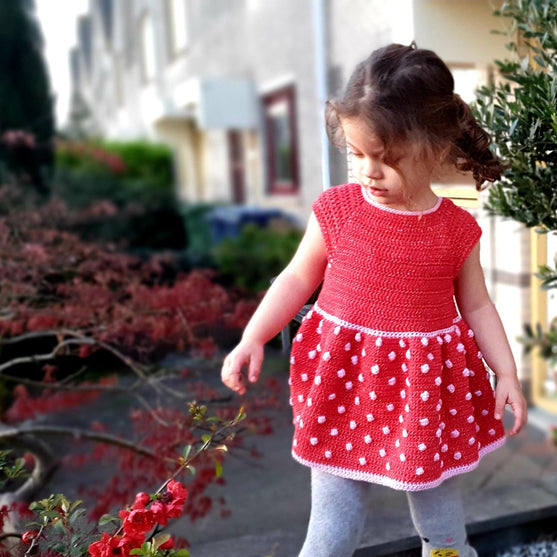 Strawberry Dress
3