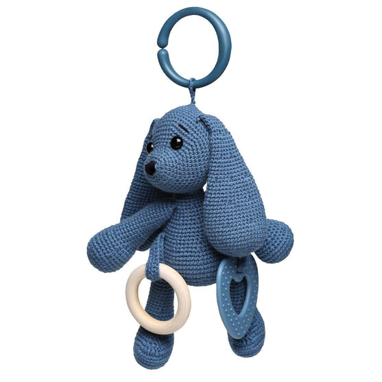 Sensory Bunny
4