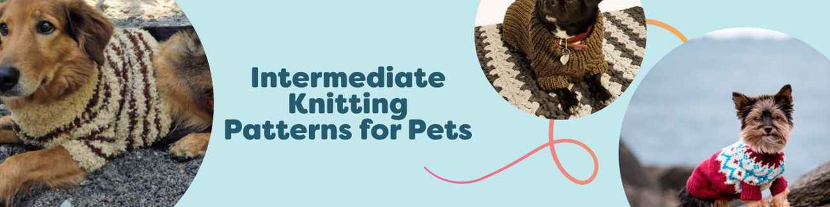 Intermediate pet knitting patterns from Hobbii: breed-sized dog sweaters in soft yarn, with needles and cozy textures arranged on a neutral background.
