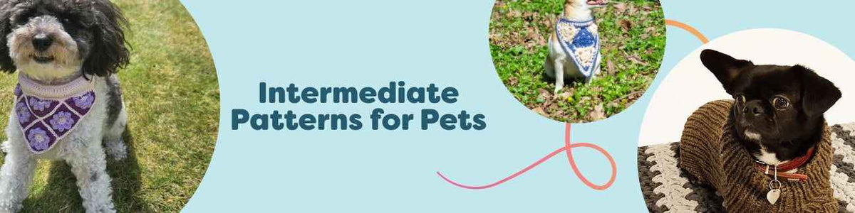 Collage of free intermediate pet patterns featuring dog bandanas, jumpers, and sweaters for knitters and crocheters by Hobbii.