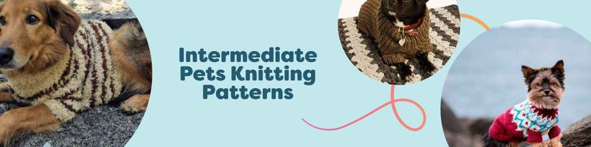 Intermediate pet knitting patterns from Hobbii featuring dog sweaters for Chihuahua, Cocker Spaniel, Yorkshire Terrier, and more in cozy yarns.