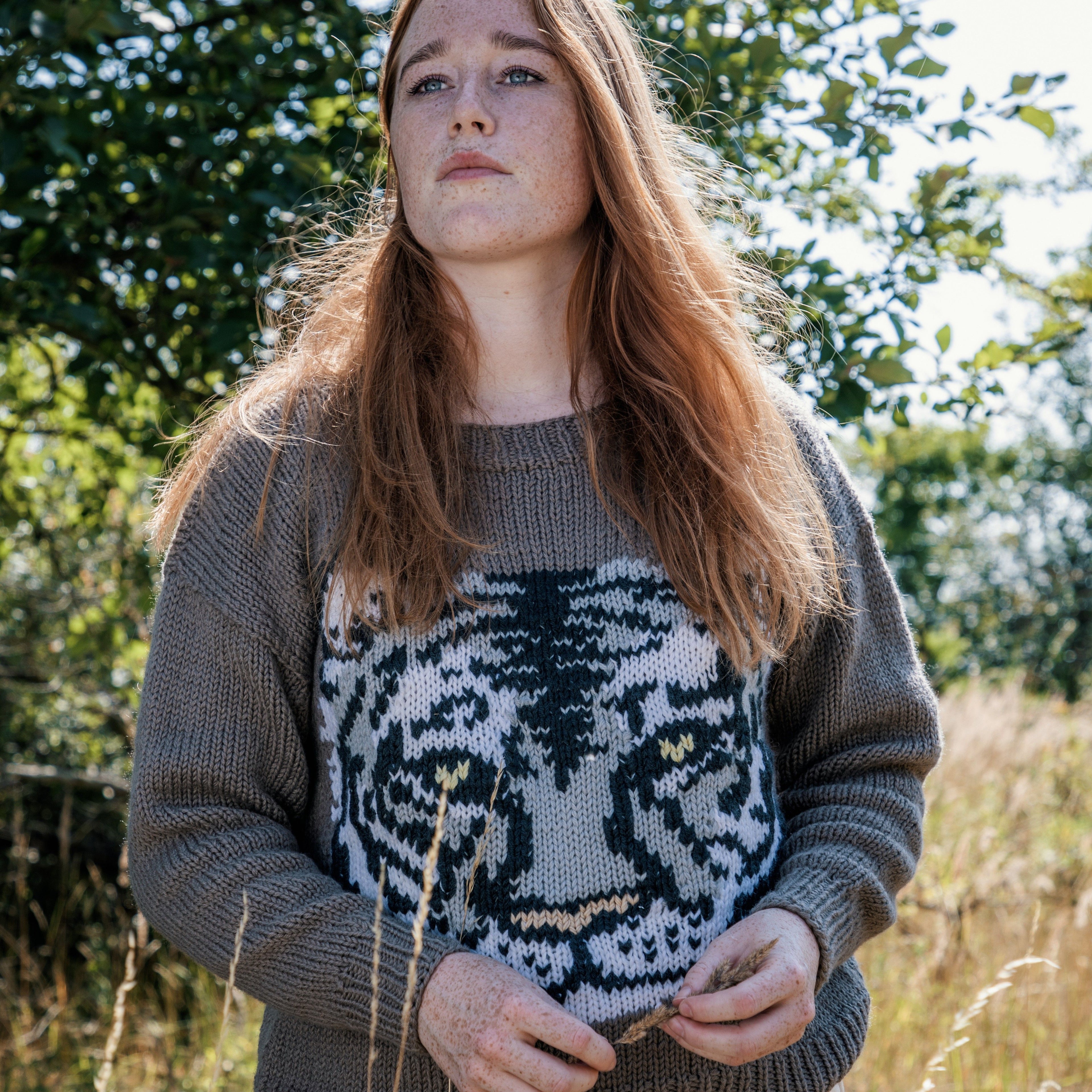 Rare Tiger - Sweater – Hobbii