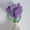 

Crocus
5