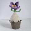 

Crocus
1