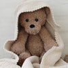 

Teddy and blanket
1