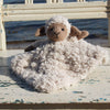 

Chanel on cosy blanket and wooden ring
3