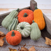 

Decorative Pumpkins - Oblong
3