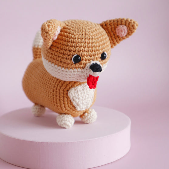 

Cooper the Corgi
1
