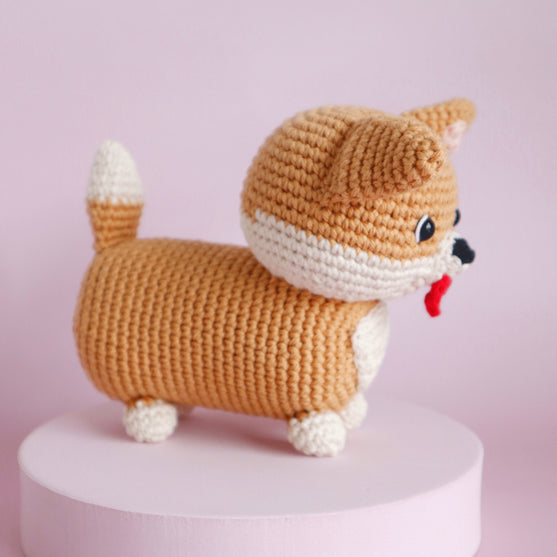 

Cooper the Corgi
2