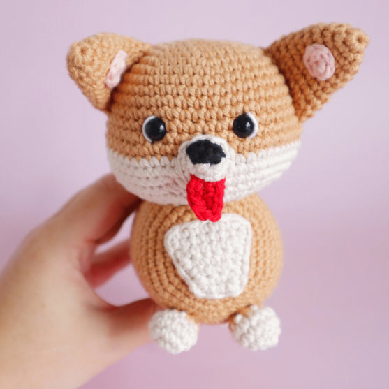 

Cooper the Corgi
3