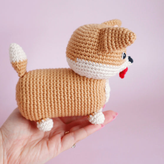 

Cooper the Corgi
4