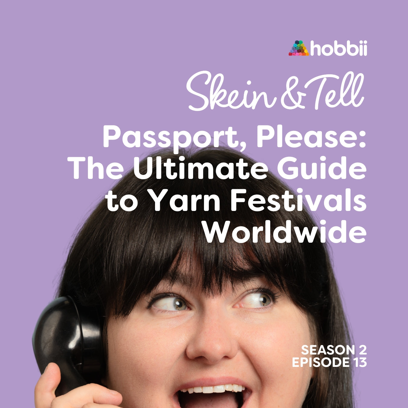 skein and tell artcover - passport please, the ultimate guide to yarn festivals worldwide