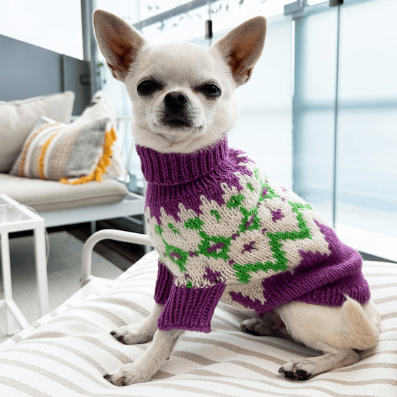 dog dress knitting pattern The Edinburgh Seamless Dog Sweater