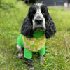 

Cocker Spaniel - Dog Sweater
1