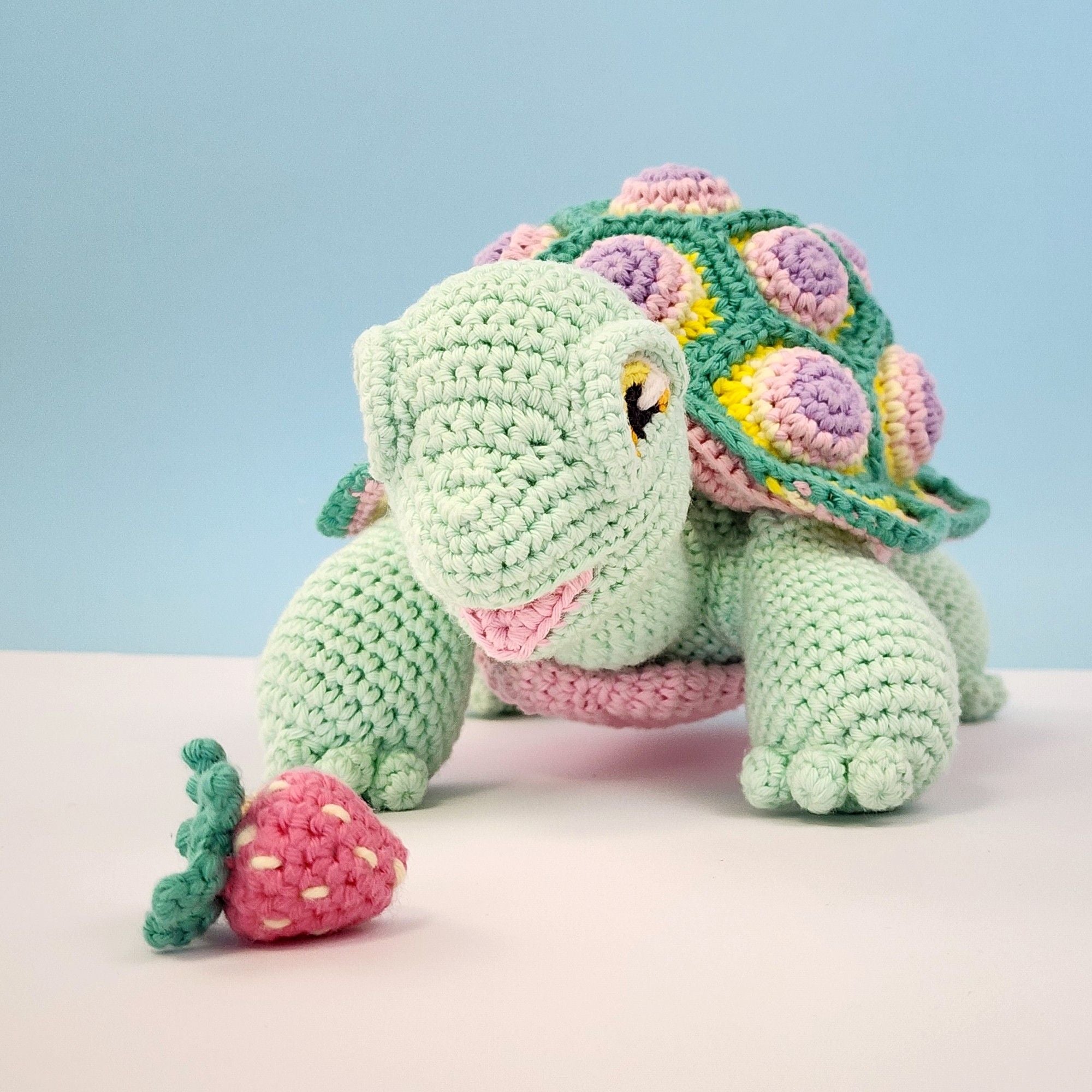 Astro the Tortoise – Hobbii