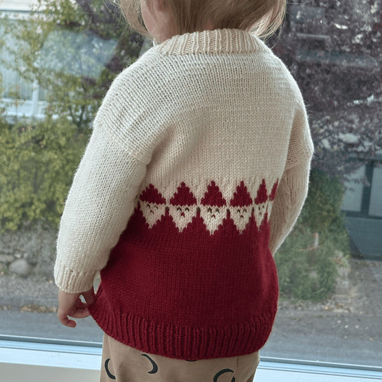 

Easy Santa Sweater Baby
3