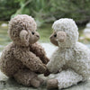 

Teddy Basserne
4