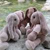 

Bunny Friends
3
