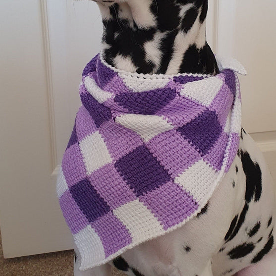 

Summer Picnic - Dog Neckerchief
2