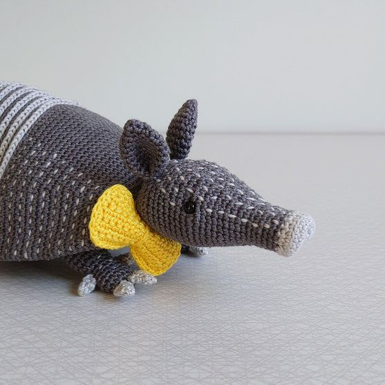 

Arnie The Armadillo
2