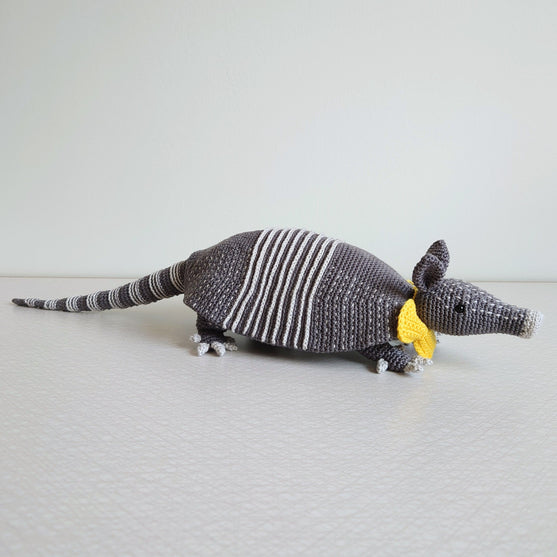 

Arnie The Armadillo
1