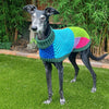 

Wally - Dog Jumper
3