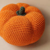 

Pumpkin - Play Food
3
