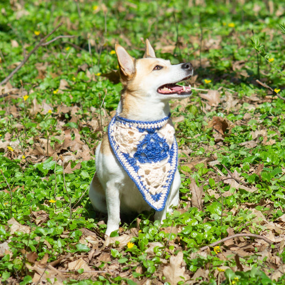 

Gina - Dog bandana
1