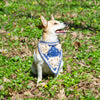 

Gina - Dog bandana
1
