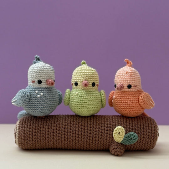 Spring Birds